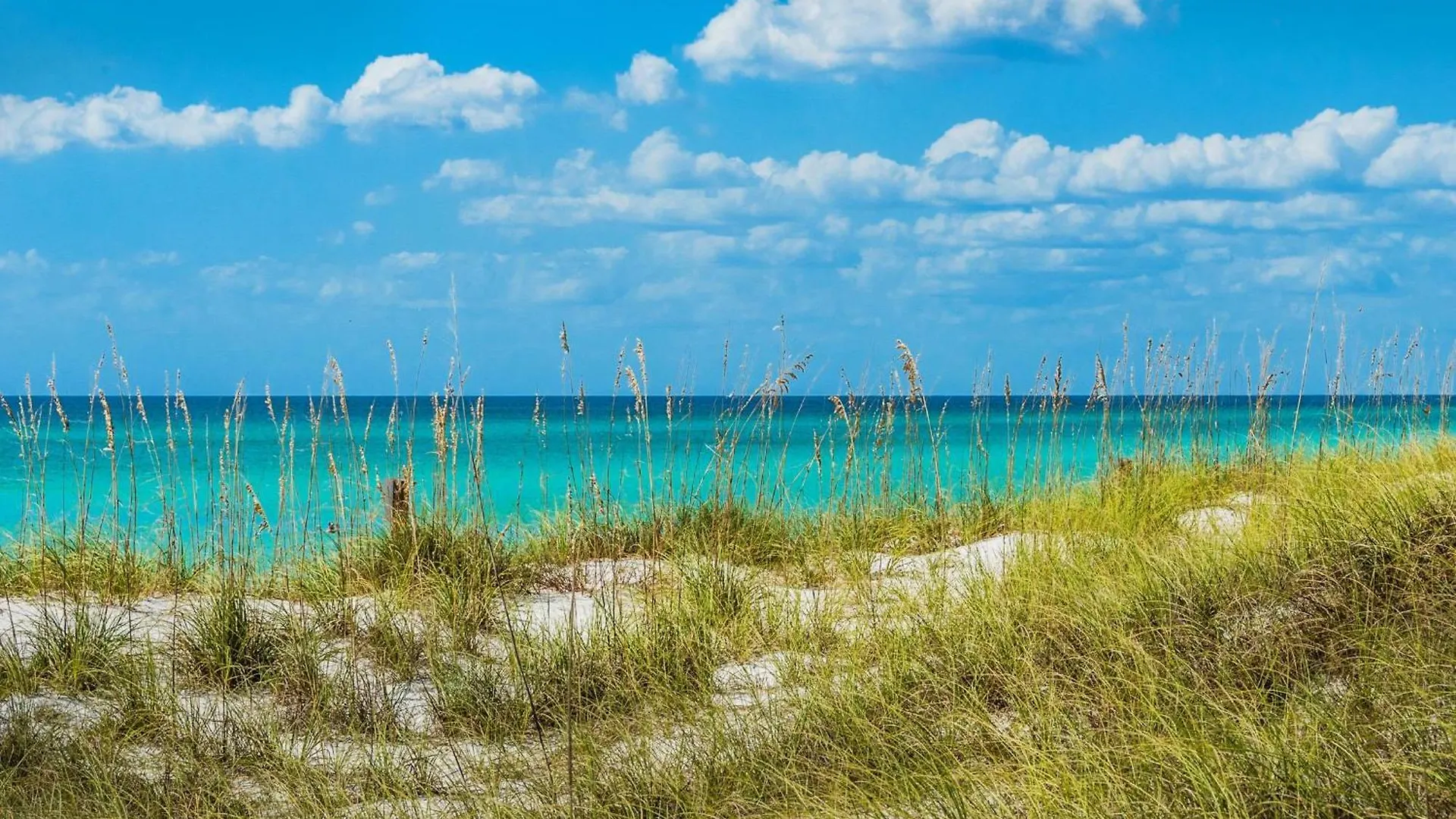 Calypso 1-608 East Aparthotel Panama City Beach